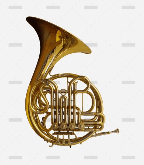 demo-attachment-207-Group-10239